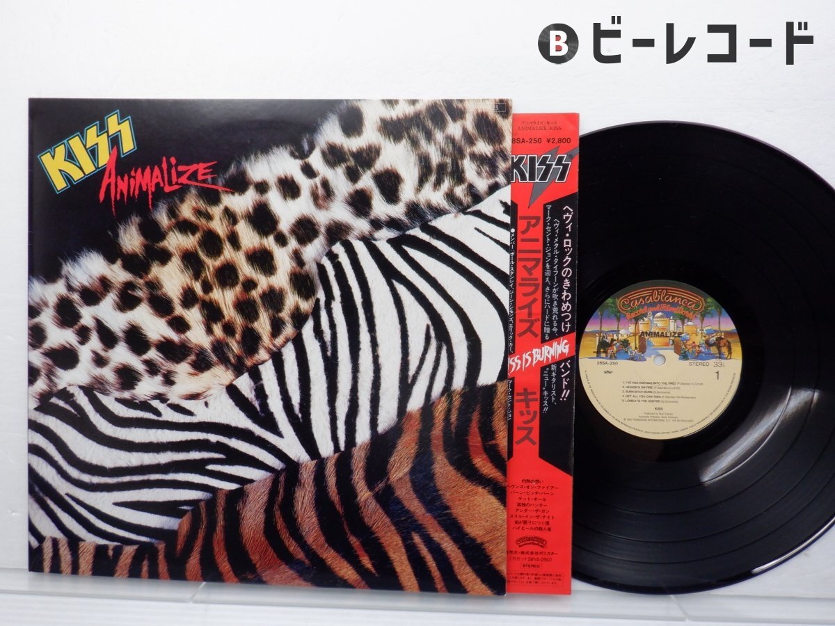 Yahoo!オークション -「kiss animalize」の落札相場・落札価格