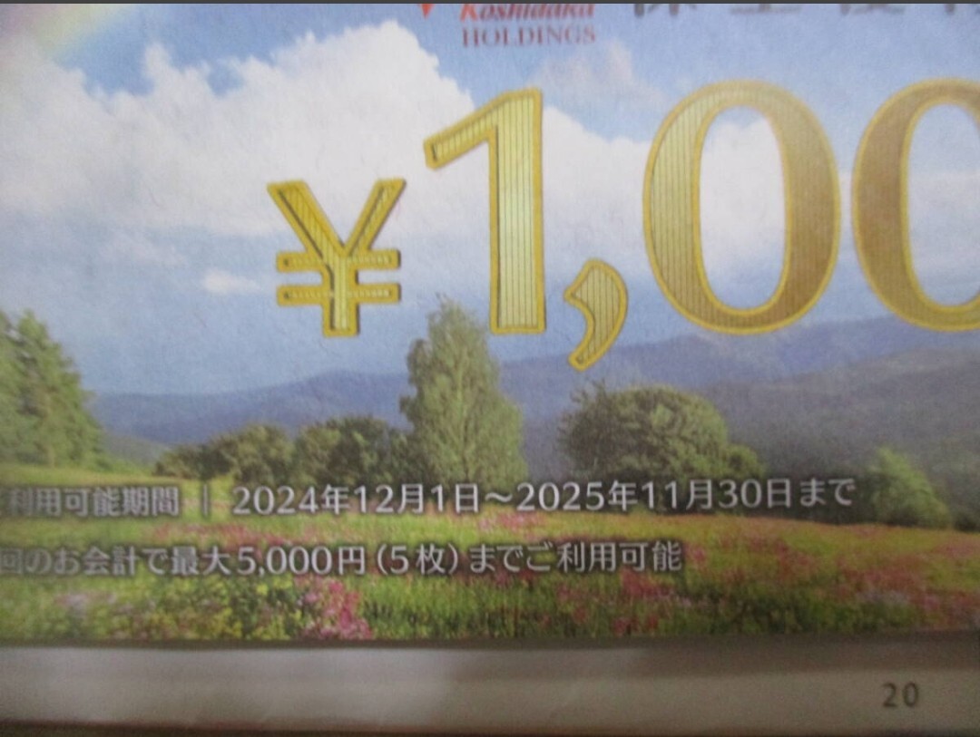 コシダカ株主優待券20000円分