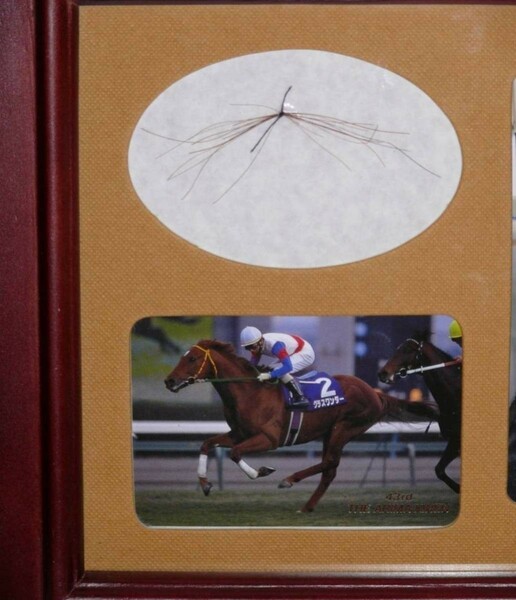 グラスワンダー 一本 たてがみ 非売品 チャリティー ウマ娘 風水 御守り 競馬 鬣