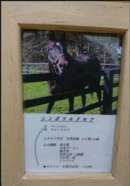 シンボリルドルフ 一本 たてがみ 非売品 チャリティー ウマ娘 風水 御守り 競馬 当選品 鬣 種牡馬 岡部幸雄 ツルマルツヨシ