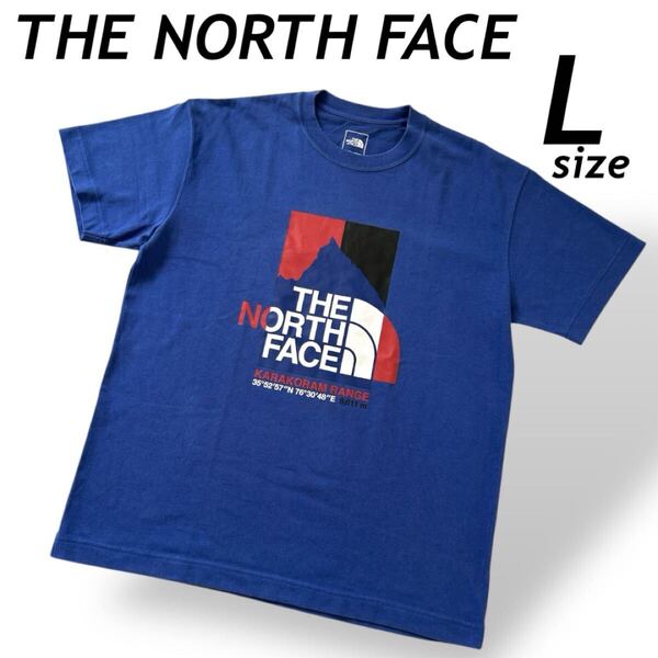 THE NORTH FACE ザ・ノースフェイス メンズ Tシャツ L 半袖 ロゴプリント NT 32132 アウトドア ゴールドウイン ブルー系 (E934)★
