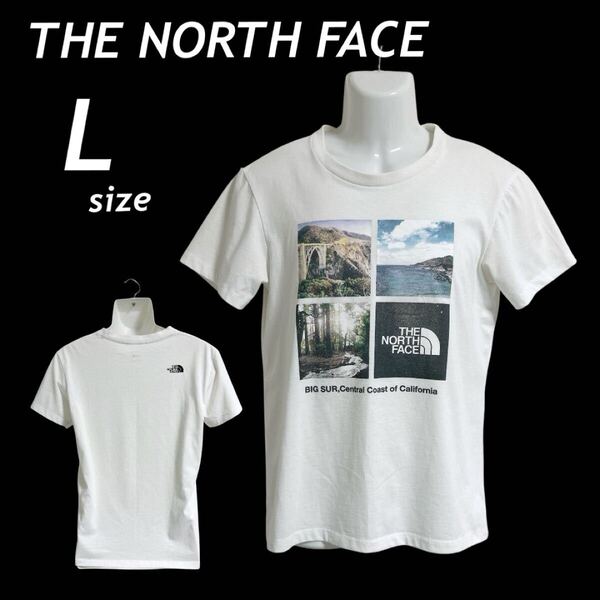 THE NORTH FACE ザ・ノースフェイス メンズ 半袖カットソー L Tシャツ フォトプリント ロゴ NT31715 ゴールドウイン ホワイト系 (E044)★