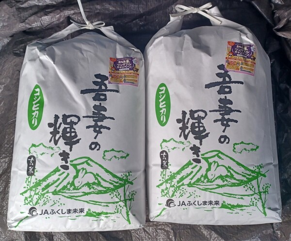 コシヒカリ 20kg 玄米 福島県産 令和6年産 全国送料無料