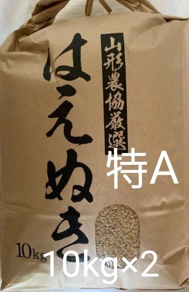 はえぬき 20kg (10kg×2) 山形県産 令和6年産 玄米 特A