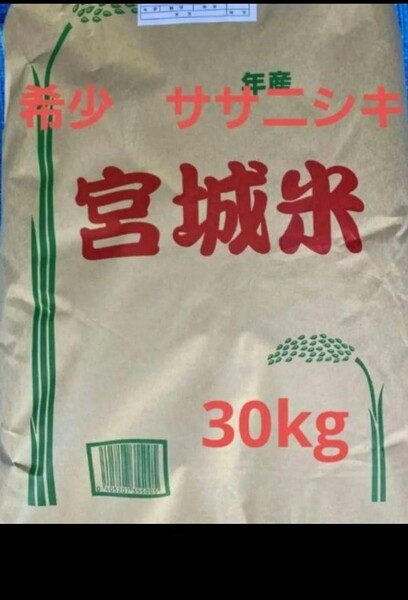 宮城県産 ササニシキ 玄米 30kg 令和6年産 全国送料無料 米専用箱で発送