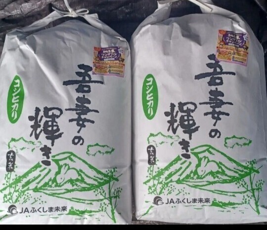 福島県産 コシヒカリ 玄米 20kg (10kg×2) 令和6年産 全国送料無料