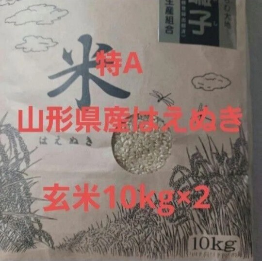 特A はえぬき 20kg (10kg×2) 玄米 山形県令和6年産