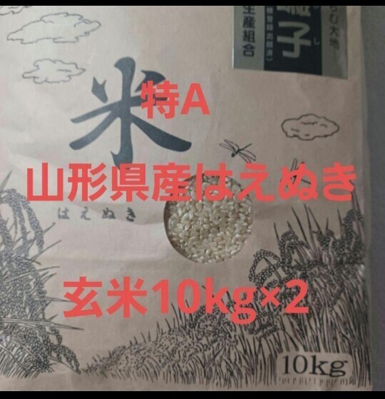 特A はえぬき 20kg (10kg×2) 山形県産 令和6年産 玄米