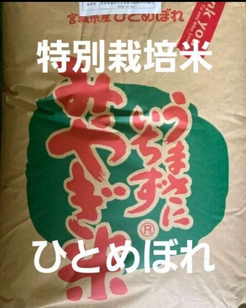 宮城県産 ひとめぼれ 特別栽培米 玄米 30kg 令和6年産 全国送料無料