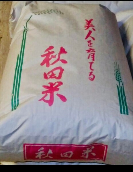 秋田県産 あきたこまち 玄米 30kg 令和6年産