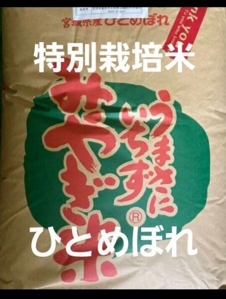 宮城県産 ひとめぼれ 特別栽培米 玄米 30kg 令和6年産 全国送料無料