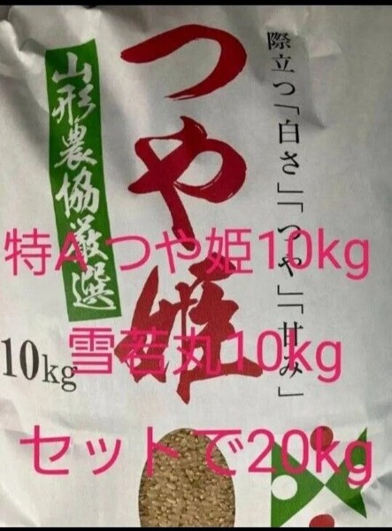 特A ランク 山形県 つや姫 10kg 雪若丸 10kg セットで20kg 玄米 冷蔵保管 令和6年産 全国送料無料