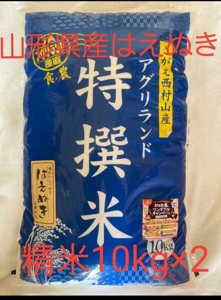 山形県産 はえぬき 特撰米 10kg×2 白米 令和6年産 全国送料無料