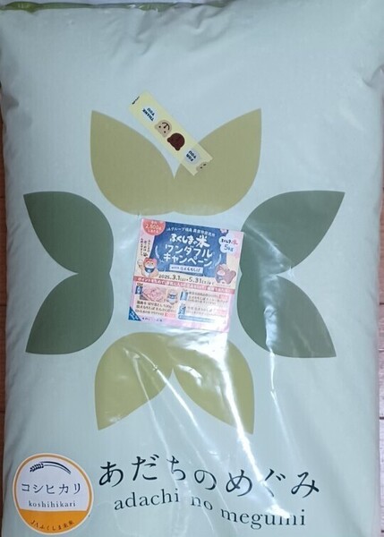 コシヒカリ 白米 10kg 5kg×2 精米日令和7年4月中旬 全国送料無料