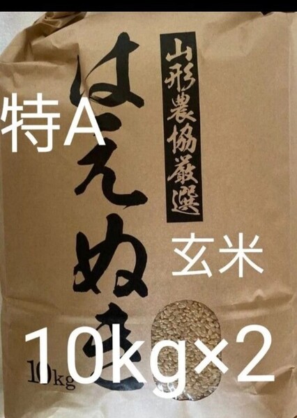 特A 山形県産 はえぬき 20kg (10kg×2) 玄米 令和6年産
