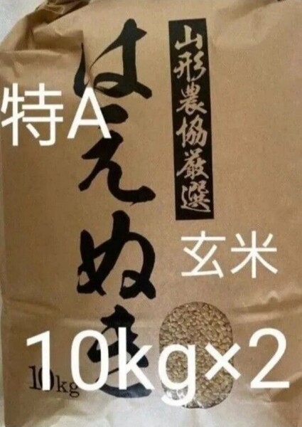特A はえぬき 20kg (10kg×2) 玄米 山形県令和6年産 全国送料無料