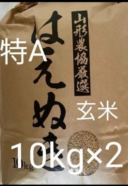 特A 山形県産 はえぬき 20kg (10kg×2) 玄米 令和6年産