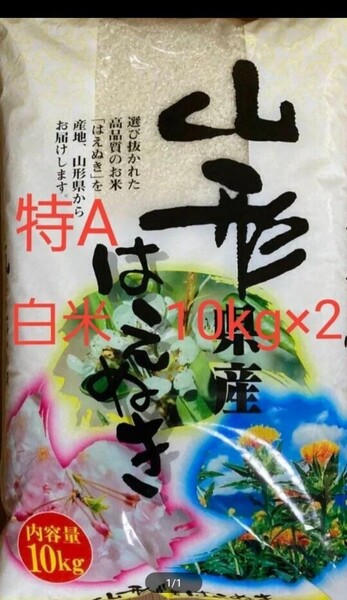特A 山形県産 はえぬき 20kg 白米 令和6年産 令和7年4月30日精米