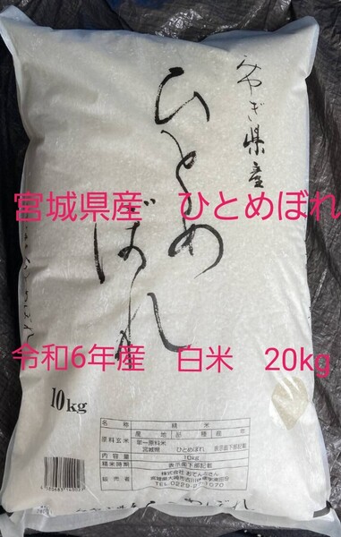 宮城県産 ひとめぼれ 白米 令和6年産20kg(10kg×2) 送料無料