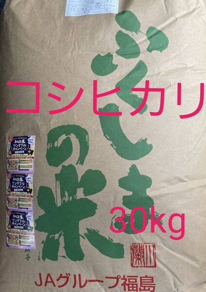 こしひかり 玄米 福島県中通り産 30kg 令和6年産
