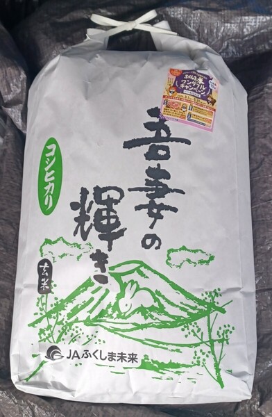 福島県産 コシヒカリ 玄米 10kg 令和6年産 1等米
