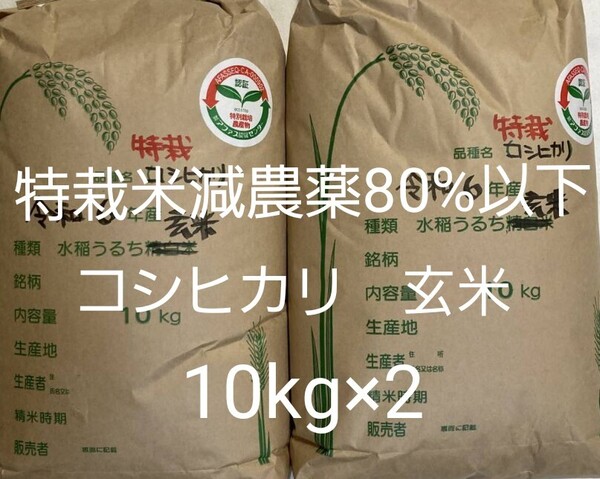 特別栽培米 減農薬80%以下 コシヒカリ 玄米 20kg (10kg×2) 福島県産 令和6年産