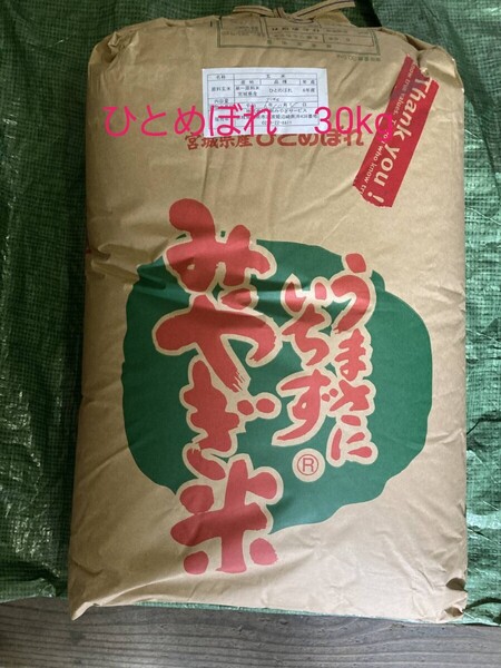 宮城県産 ひとめぼれ 玄米 30kg 令和6年産 送料無料
