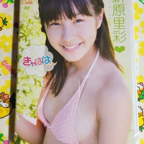 【匿名配送】未開封 新原里彩 きゃはは アイドル DVD