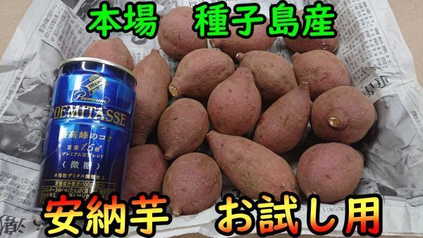 【本場種子島産】安納芋紅1kg 完熟!ねっとり!2Sサイズお試し用【病気に負けるな】