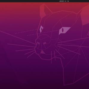 Linux OS Ubuntu Desktop 24.10 最新 インストールUSB