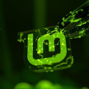 Linux mint Desktop 22 インストールUSB cinnamon