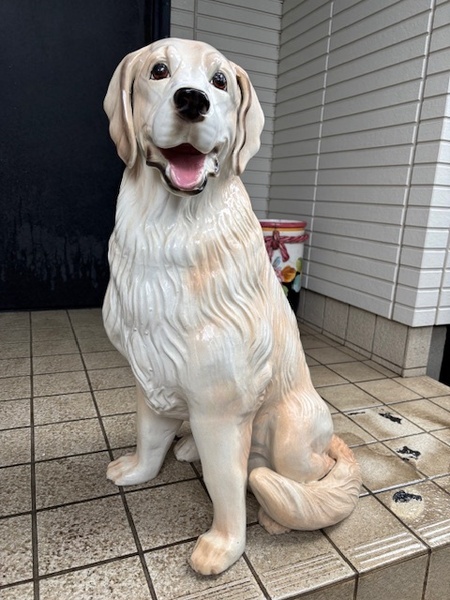 ゴールデンレトリーバー 犬 いぬ DOG ドック 玄関 エントランス ガーデン 庭 陶器製 置物 オブジェ オーナメント 飾り物