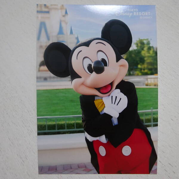 ★ミッキー★ミッキーマウス★Mickey mouse★スペシャルフォト★ディズニーリゾート★ディズニーランド★ディズニーシー★