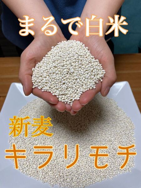 新麦 キラリモチ もち麦 1.5kg 国産 雑穀 玄米 日本産 米代用