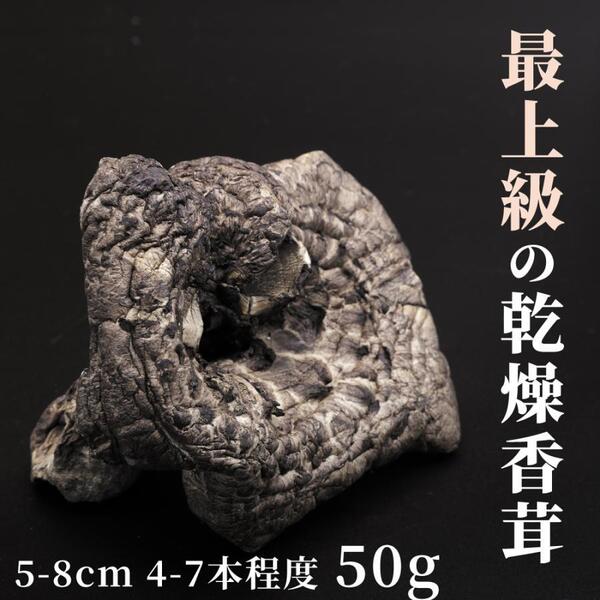 乾燥香茸 天然 50g 5-8cmサイズ 干し コウタケ 黒虎掌茸 シシタケ シシ茸 獅子茸 いのはな スープや香茸ご飯に 中国産