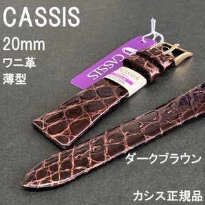 バネ棒 工具付 送料無料★特価 新品★CASSIS COLMAR コルマール カイマン(ワニ革) 時計ベルト 20mm ダークブラウン★カシス 定価11,000円