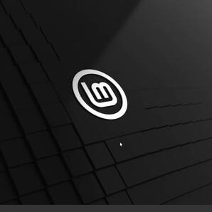 (USBメモリ32GB)Linux Mint 22.1 cinnamon 64bit 他のLINUXも選択可能