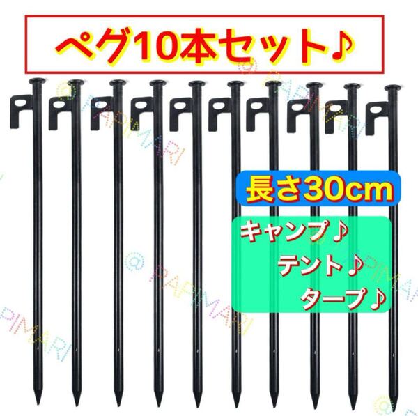 【新品】スチールペグ ペグ 10本セット30cm キャンプ アウトドア タープ テント アウトドア 設営 登山