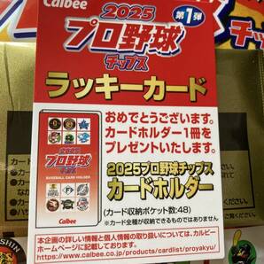 2025 第1弾 ラッキーカード 特典 カードホルダー交換 当選 カルビー プロ野球チップス 最新版 新入荷 即決 匿名配送対応可 送料無料 匿名配