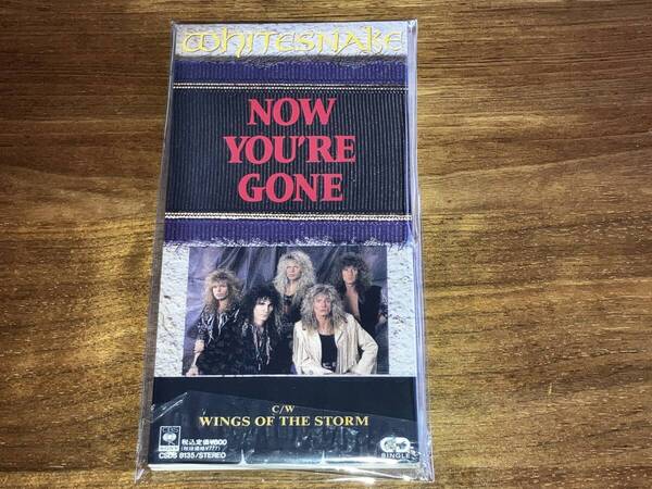 送料込み WHITESNAKE ホワイトスネイク /Now You're Gone 8cm SCD 即決