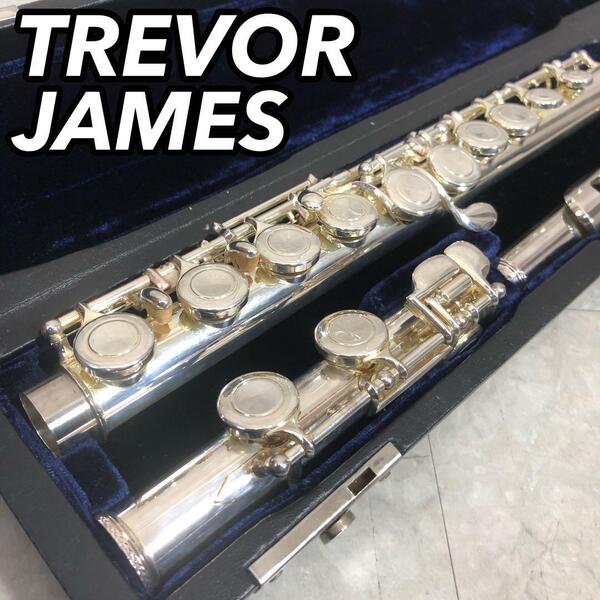 Trevor James トレバージェームズ CantabileII カンタービレ2 フルート 管楽器 Eメカニズム付き 練習 初心者 演奏会 ハードケース