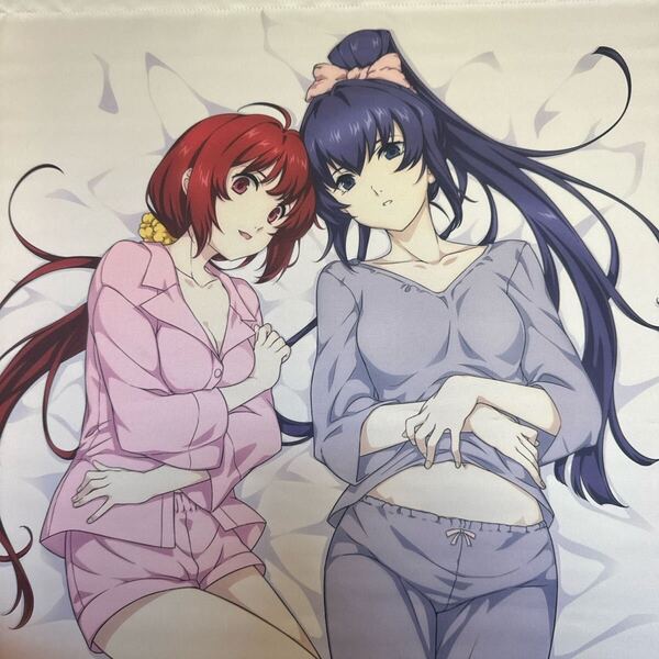 鑑純夏&御剣冥夜 B2タペストリー 「マブラヴ オルタネイティヴ たあらあ Blu-ray Box I&Blu-ray Box II とらのあな 全巻購入特典