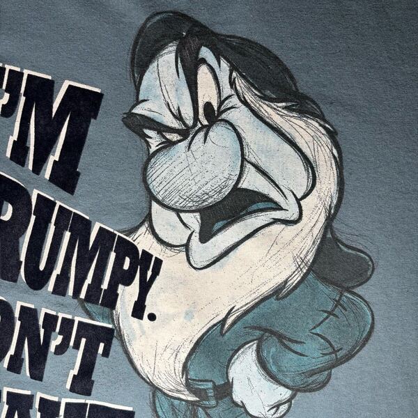 OLD Disney Tシャツ 白雪姫 グランピー おこりんぼ 7人の小人 ディズニー オールド ヴィンテージ フロッキープリント ブルー L