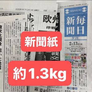 新聞紙 約1.3kg まとめ売り 古新聞 約70枚 梱包材 引っ越し 工作 消臭