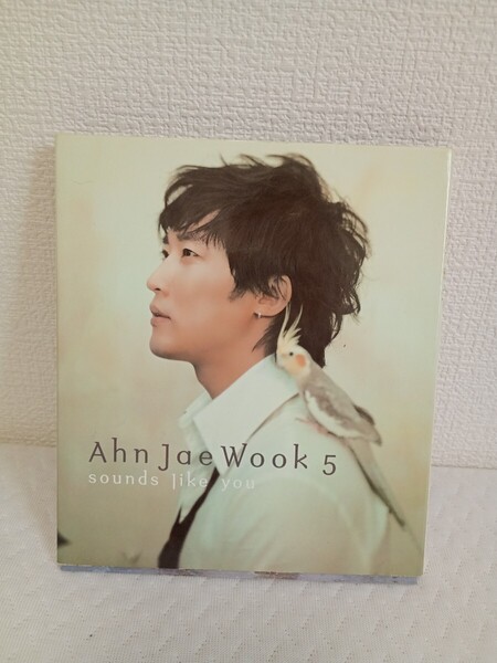 アン・ジェウク5thアルバム: 君のようだ原文アン・ジェウク 5集 『Sounds like you』アン・ジェウク 5 韓国音楽 K-POP 盤面良好CD