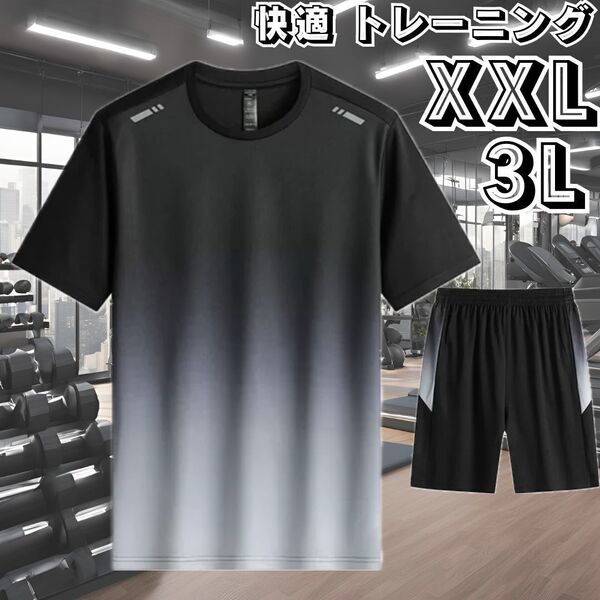 セール★スポーツウェア トレーニング メンズ 半袖 シャツ ハーフパンツ 上下セット ジム ウォーキング ブラック 黒 グレー 大きい XXL 3L