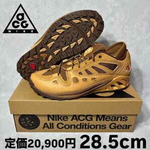 新品 ナイキ エィシージー エア エクスプロレイド フラックス 28.5 FV2925-200 ローカット スニーカー