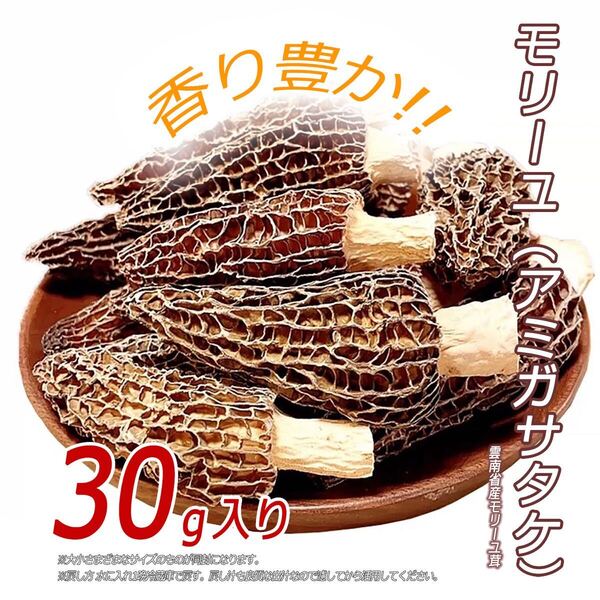 新物!ドライモリーユ 乾燥アミガサタケ キノコ30g 乾燥アミガサタケ ドライモリーユ 新物