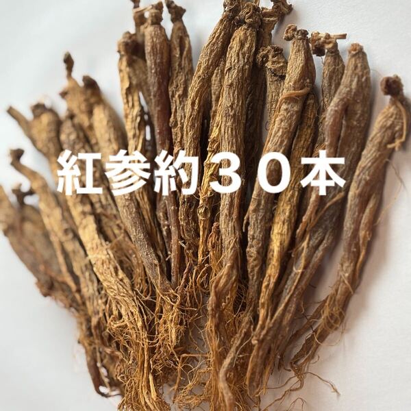 紅参約30本 100g 長白山産 高麗人参 乾燥 野生環境露地栽培 たんぽぽ本舗 高麗人参 紅参 厳選長白山産そのまま 乾燥朝鮮人参
