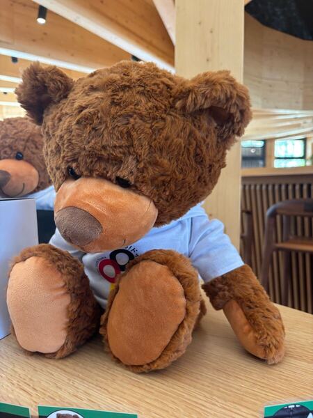 大阪関西万博限定 テディベア ぬいぐるみ 大